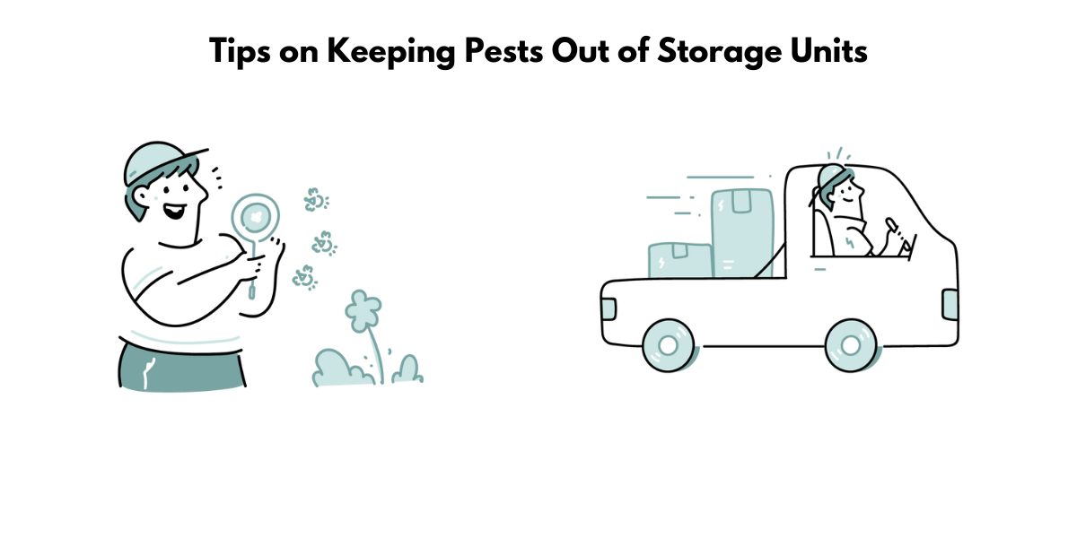 Storage Unit Pest Control How to keep pests out of your storage unit